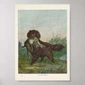 Retriever Jagdhund Poster (Vorne)