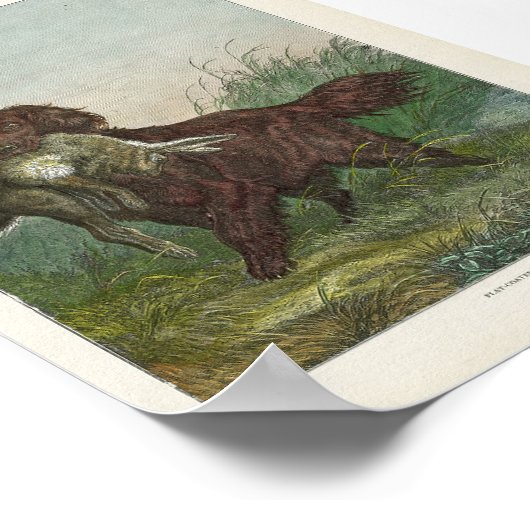 Retriever Jagdhund Poster (Ecke)