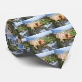 Retriever Krawatte (Gerollt)