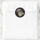 RETRIEVER LABRADOR DOG Stickers (Tasche)