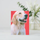 Retriever Panting Postkarte (Stehend Vorderseite)