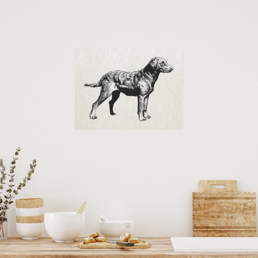 Retriever Poster (Küche)