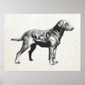 Retriever Poster (Vorne)