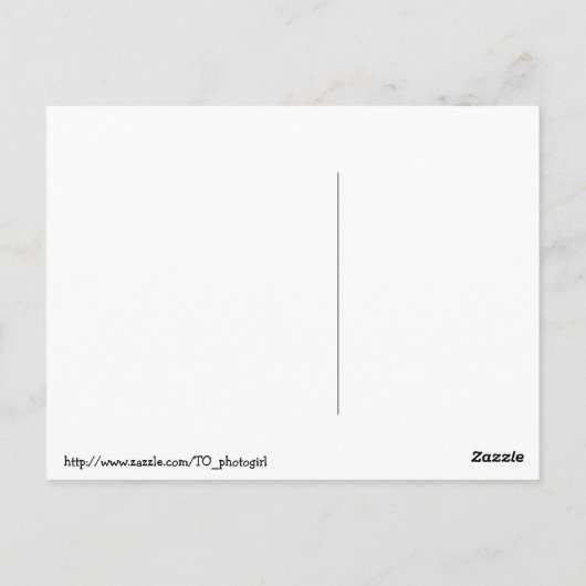 Retro 1950er Hausfrau "No Cure for Stupid" Postkarte (Rückseite)