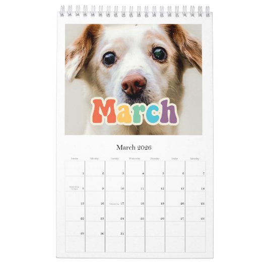 Retro 60er Hippie Drehbuchreihe Kalender 2026 (Mär 2026)