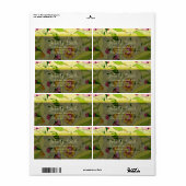 Retro abstraktes florales Collage (Vorne)