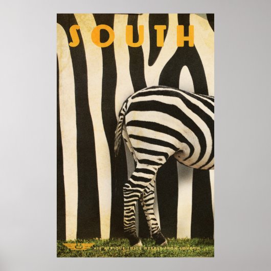 Retro African Mountain Zebra Poster - Teil 1 (Vorne)