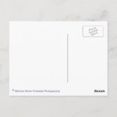 Retro Airplane #87 Blue Happy Birthday Postkarte (Rückseite)