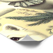 Retro American Eskimo Illustration Poster (Ecke)