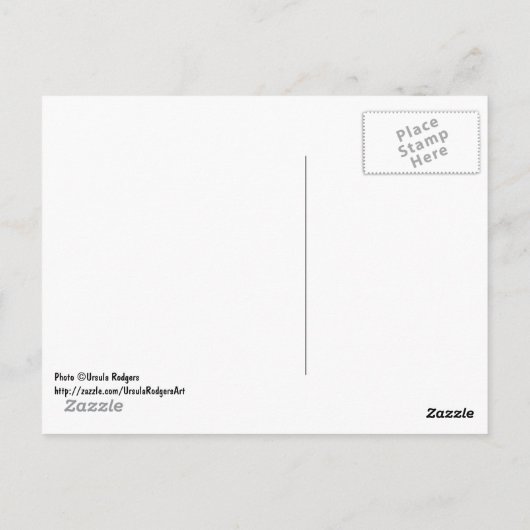 Retro Amsterdam Postkarte (Rückseite)