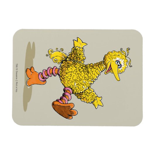 Retro Art Big Bird Magnet (Horizontal)