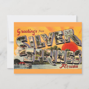 Retro-Attraktion Silver Springs Postkarte