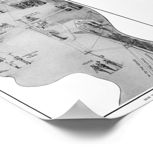 Retro-Ausbildung Poster (Ecke)