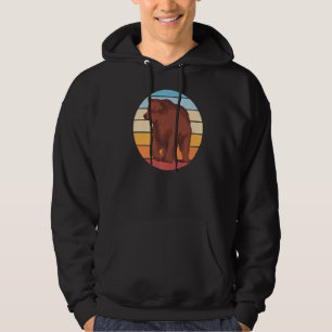 Retro Bear Brown Bear Animal Forest Animal Bear Hoodie