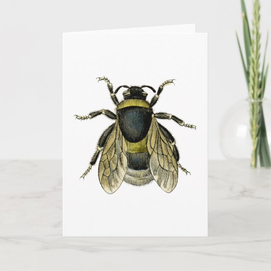 Retro Bee Antique Illustration Schwarz und Gelb Karte (Vorderseite)