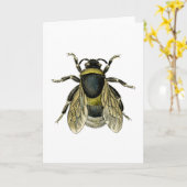 Retro Bee Antique Illustration Schwarz und Gelb Karte (Gelbe Blume)