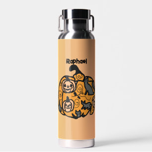 Retro Black Cats und Pumpkin Dreams Trinkflasche