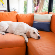 Retro Blau und Pfirsichkissen