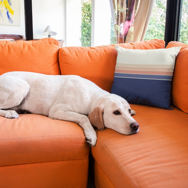 Retro Blau und Pfirsichkissen Kissen (Retro striped pillow is perfect for humans and doggos!)