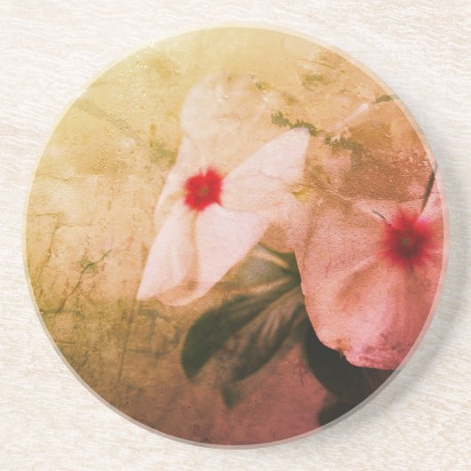 Retro Blume Foto Sandstone Drink Untersetzer (Vorne)
