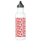 Retro Boomerangs Trinkflasche (Links)