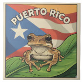 Retro-Boricua-Stolzposter Fliese (Vorderseite)