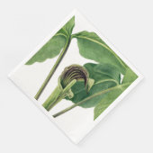 RETRO BOTANISCHE ILLUSTRATION: JACK IM PULPIT SERVIETTE (Ecke)