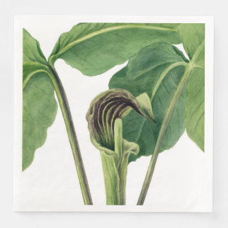 RETRO BOTANISCHE ILLUSTRATION: JACK IM PULPIT SERVIETTE
