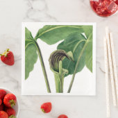 RETRO BOTANISCHE ILLUSTRATION: JACK IM PULPIT SERVIETTE (Beispiel)