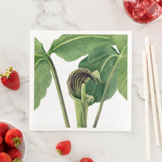 RETRO BOTANISCHE ILLUSTRATION: JACK IM PULPIT SERVIETTE (Beispiel)