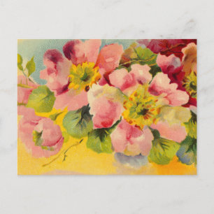 Retro Chic Elegante Rosa Vintage Floral Primeln Postkarte