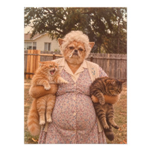 Retro Chihuahua-Oma hält zwei wütende Katzen Fotodruck