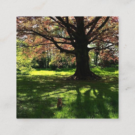 Retro Classic Square Instant Business Cards Quadratische Visitenkarte (Rückseite)