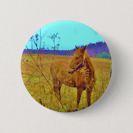 Retro Colored Horse Button (Vorderseite)