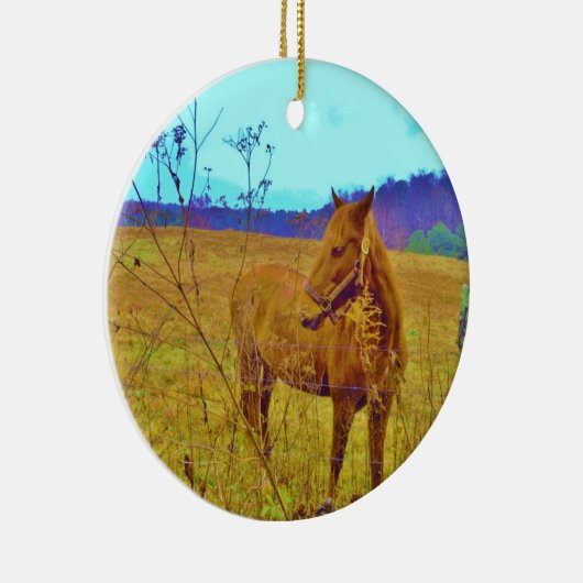 Retro Colored Horse Keramikornament (Rechts)