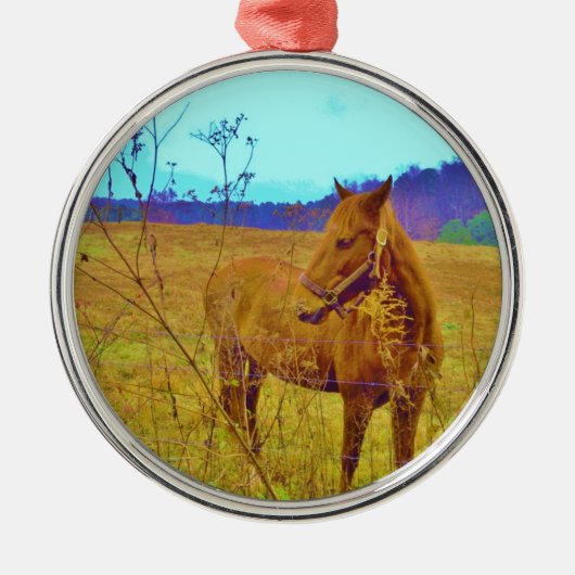 Retro Colored Horse Ornament Aus Metall (Vorne)