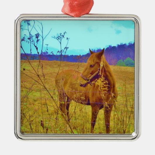 Retro Colored Horse Ornament Aus Metall (Vorne)
