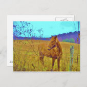 Retro Colored Horse Postkarte (Vorne/Hinten)