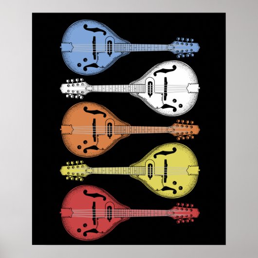 Retro Country Music Mandolin Vintag Bluegrass Poster (Vorne)