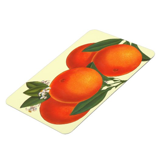 Retro Crate Art Orange Magnet (Linke Seite)