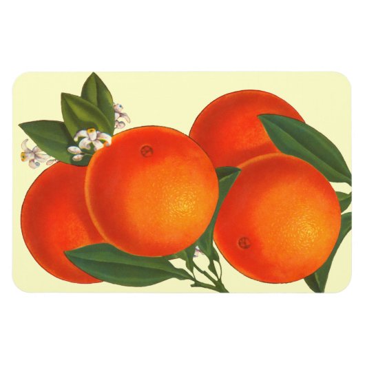 Retro Crate Art Orange Magnet (Horizontal)