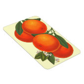 Retro Crate Art Orange Magnet (Rechte Seite)