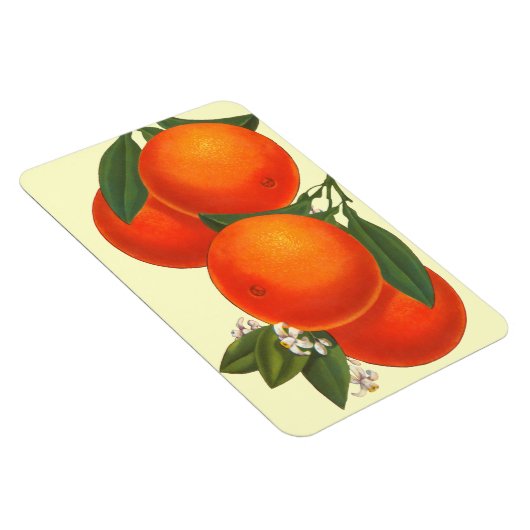 Retro Crate Art Orange Magnet (Rechte Seite)