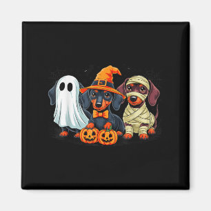 Retro Dackel Hexe Y Halloween Pumpkin Women Me Magnet