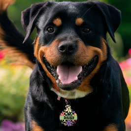 Retro Daisies der 1970er Haustiermarke