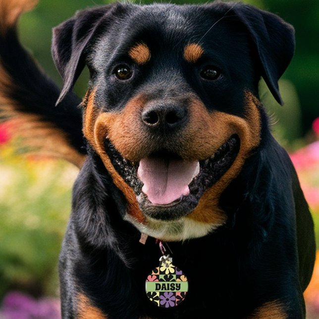 Retro Daisies der 1970er Haustiermarke (Von Creator hochgeladen)