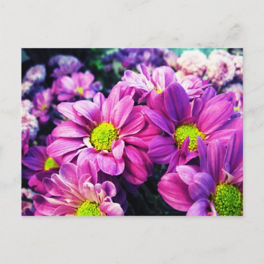 Retro Daisies I Postkarte (Vorderseite)