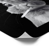 Retro, der F_ck ist Alice Funny Rabbit Poster (Ecke)