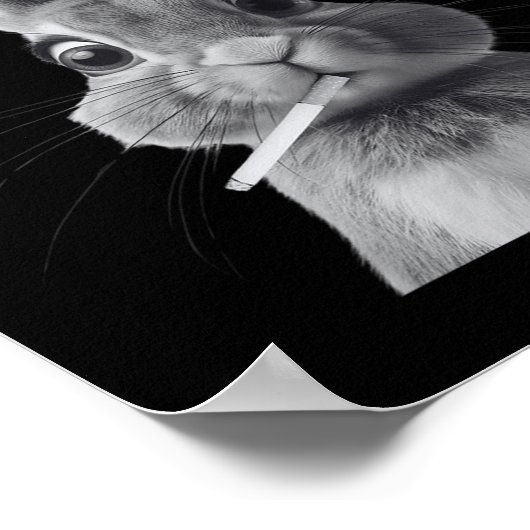 Retro, der F_ck ist Alice Funny Rabbit Poster (Ecke)