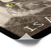 Retro, der F_ck ist Alice Funny Rabbit Poster (Ecke)